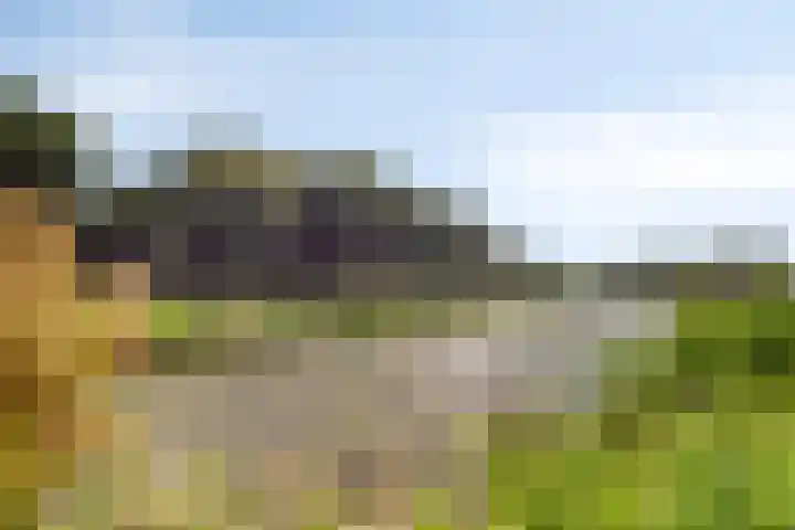 Inkarnaatklaver 21 Rotterdam thumbnail 41