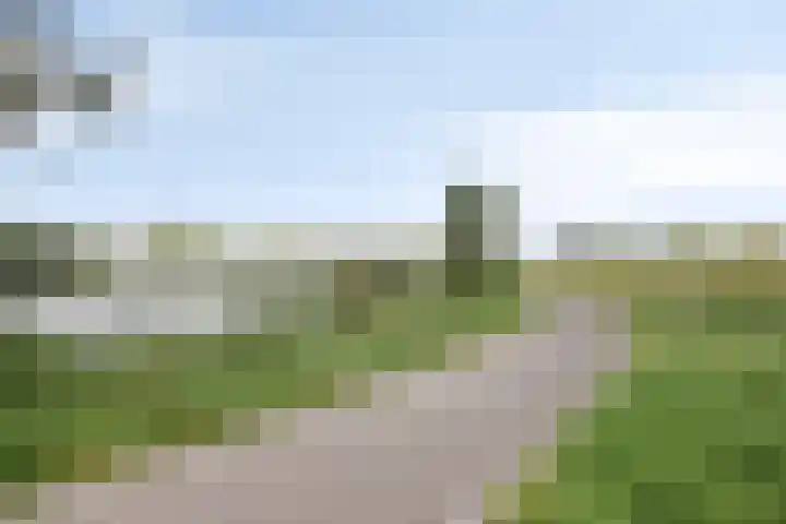 Inkarnaatklaver 21 Rotterdam thumbnail 42