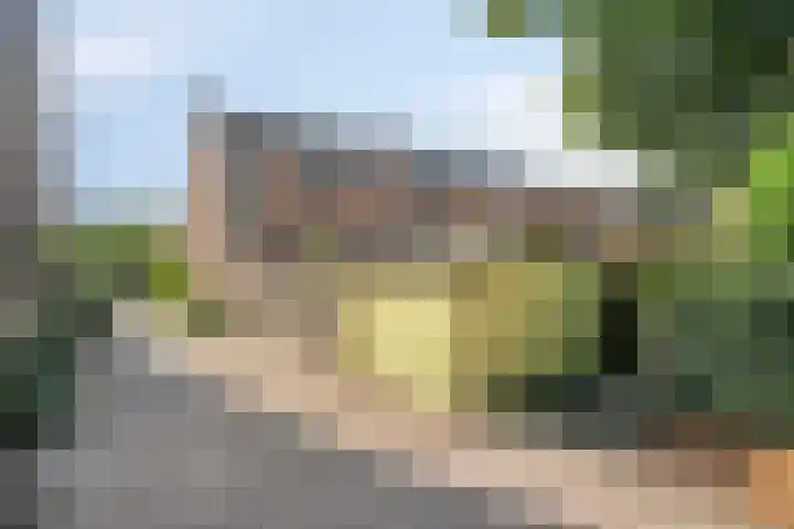 Inkarnaatklaver 21 Rotterdam thumbnail 5