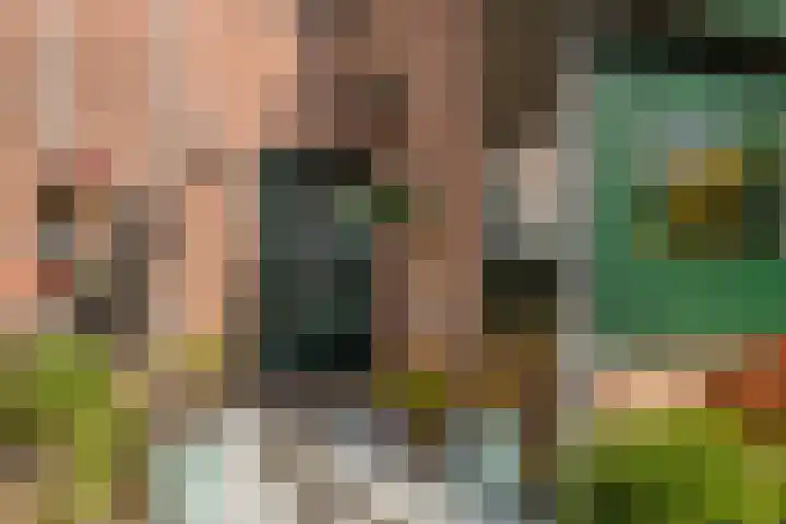 Inkarnaatklaver 21 Rotterdam thumbnail 6