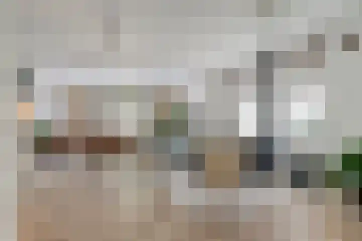 Inkarnaatklaver 21 Rotterdam thumbnail 8