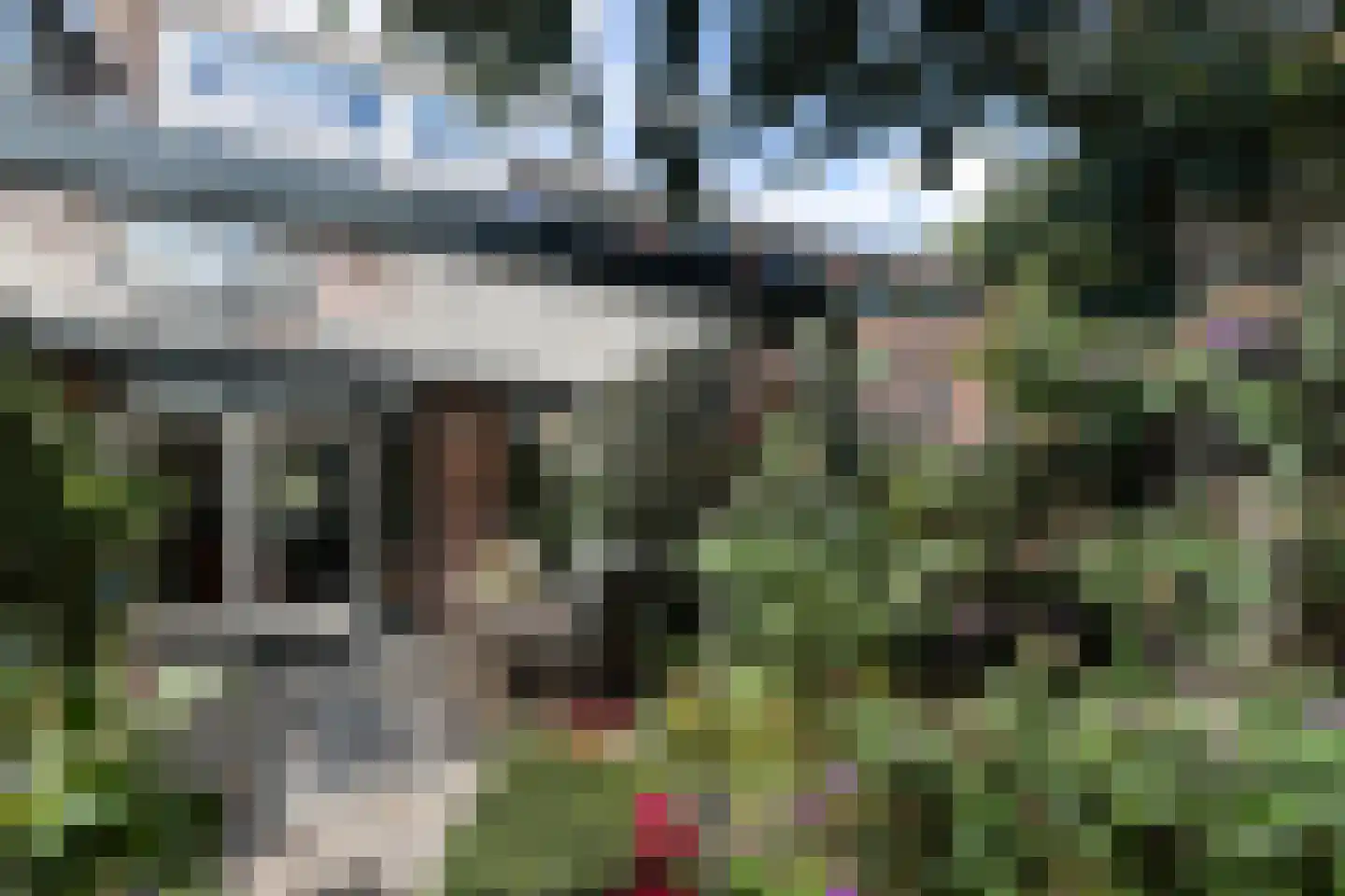 Inkarnaatklaver 45 Rotterdam thumbnail 15
