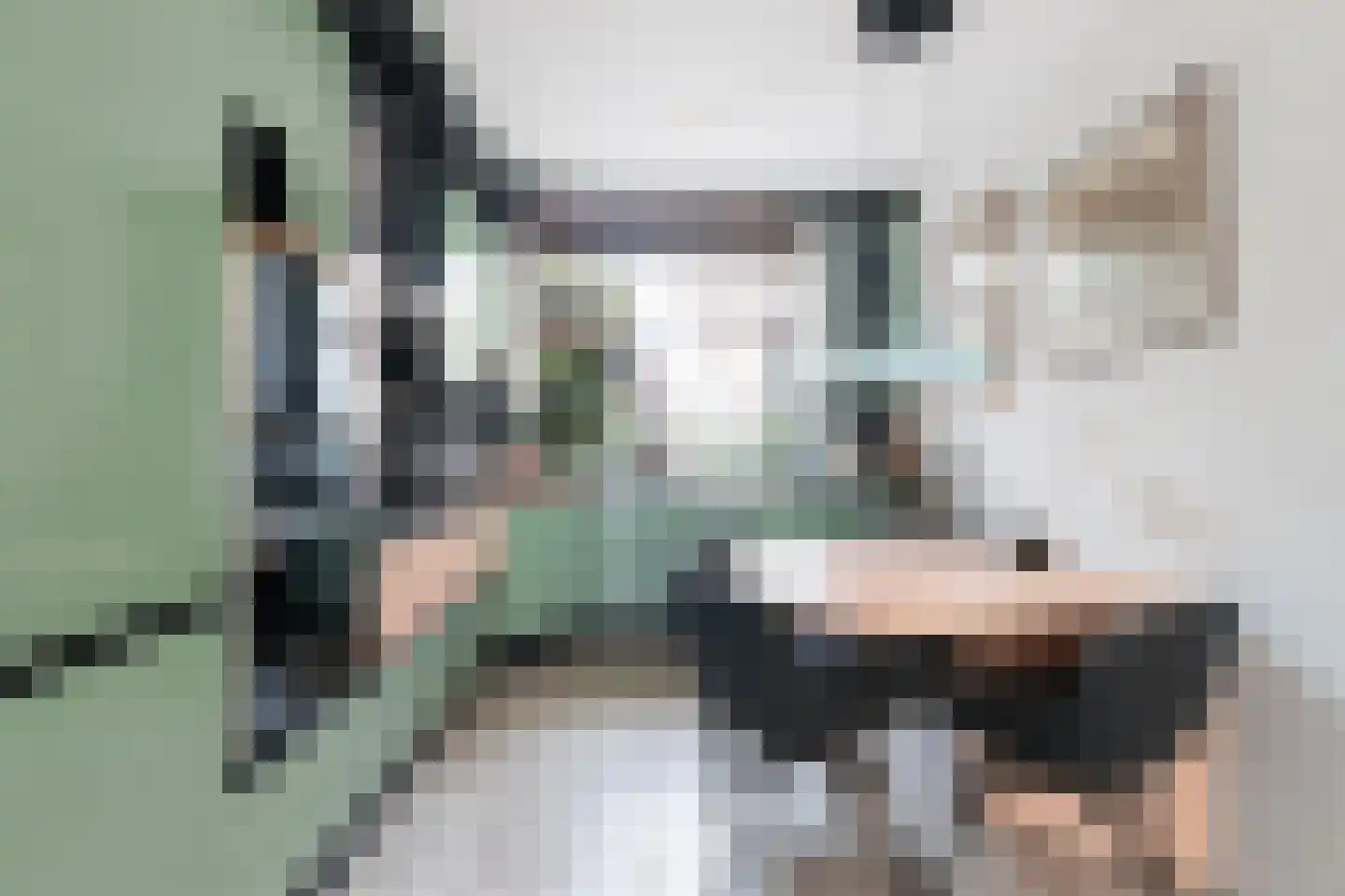 Inkarnaatklaver 45 Rotterdam thumbnail 18
