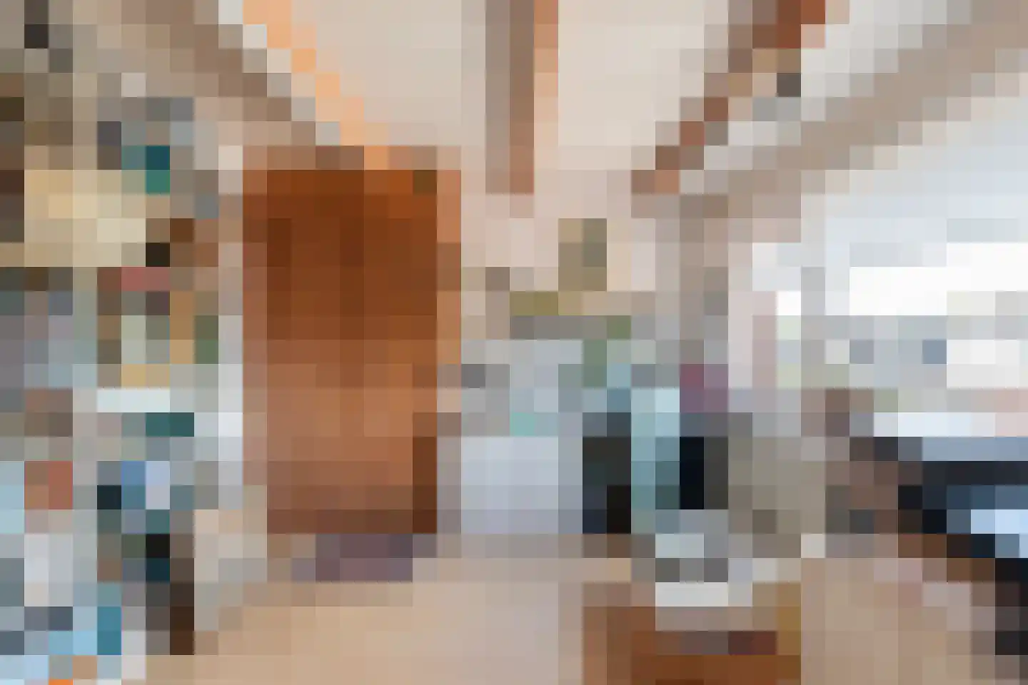 Inkarnaatklaver 45 Rotterdam thumbnail 27