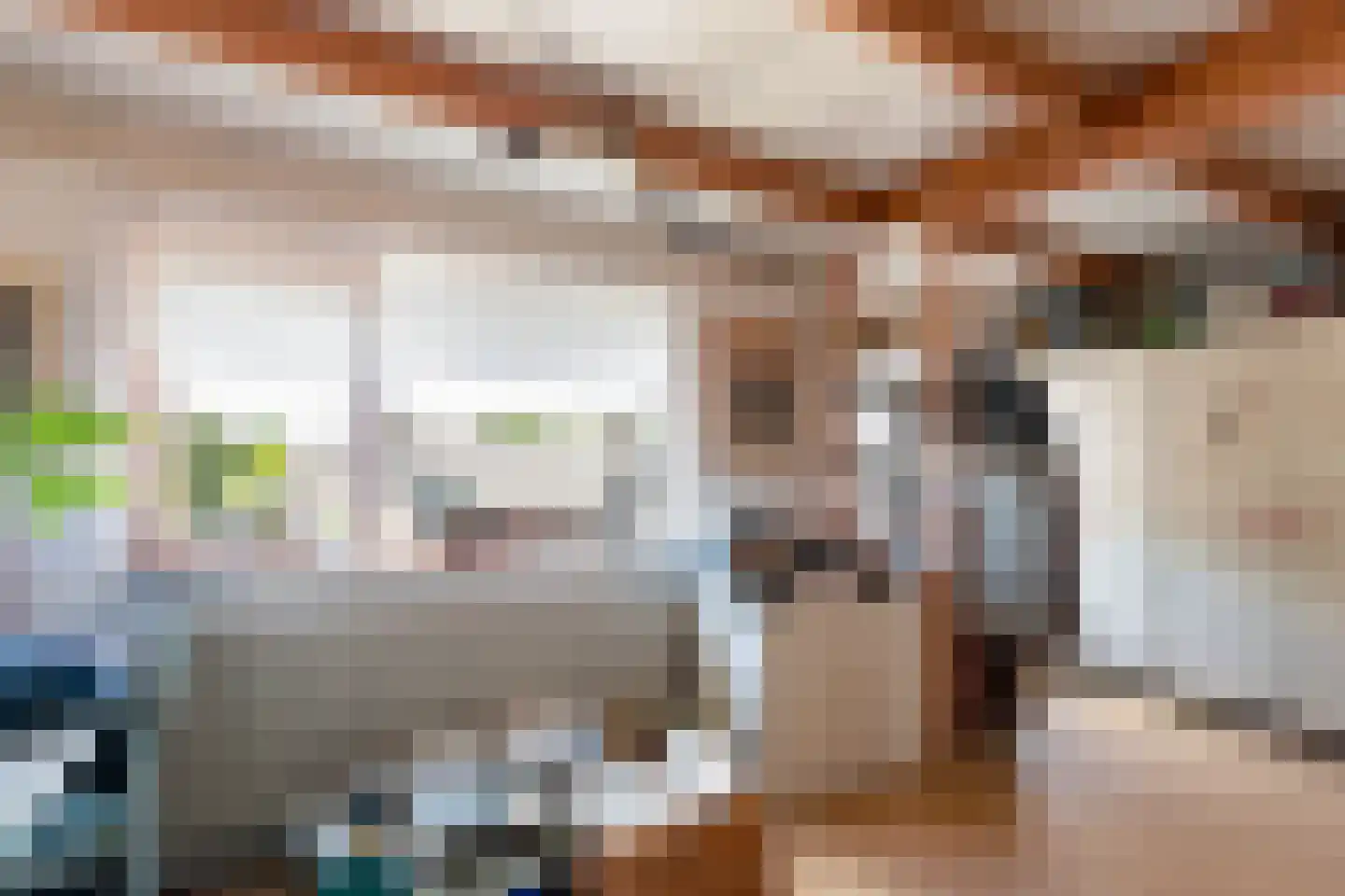 Inkarnaatklaver 45 Rotterdam thumbnail 28