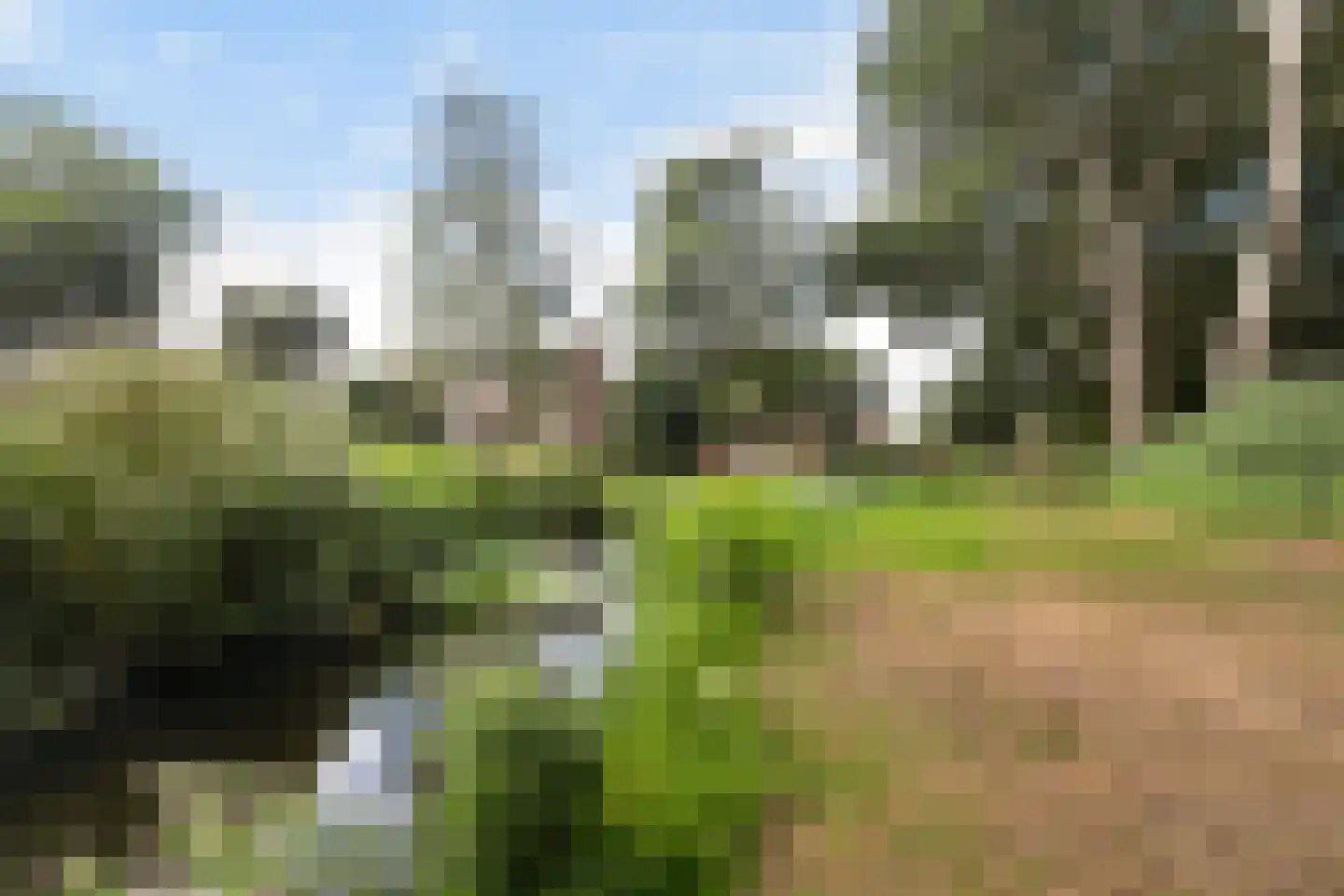Inkarnaatklaver 45 Rotterdam thumbnail 31