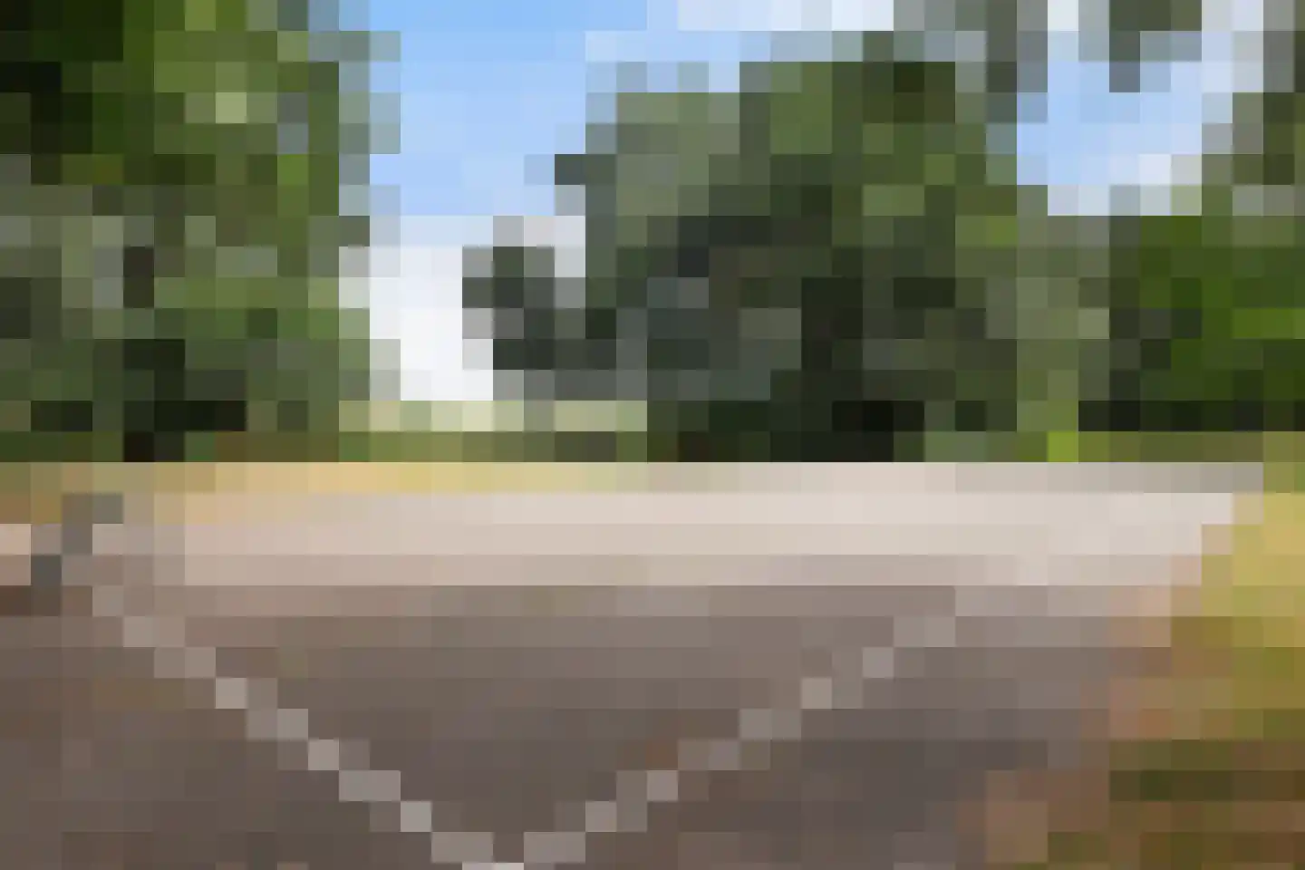 Inkarnaatklaver 45 Rotterdam thumbnail 33