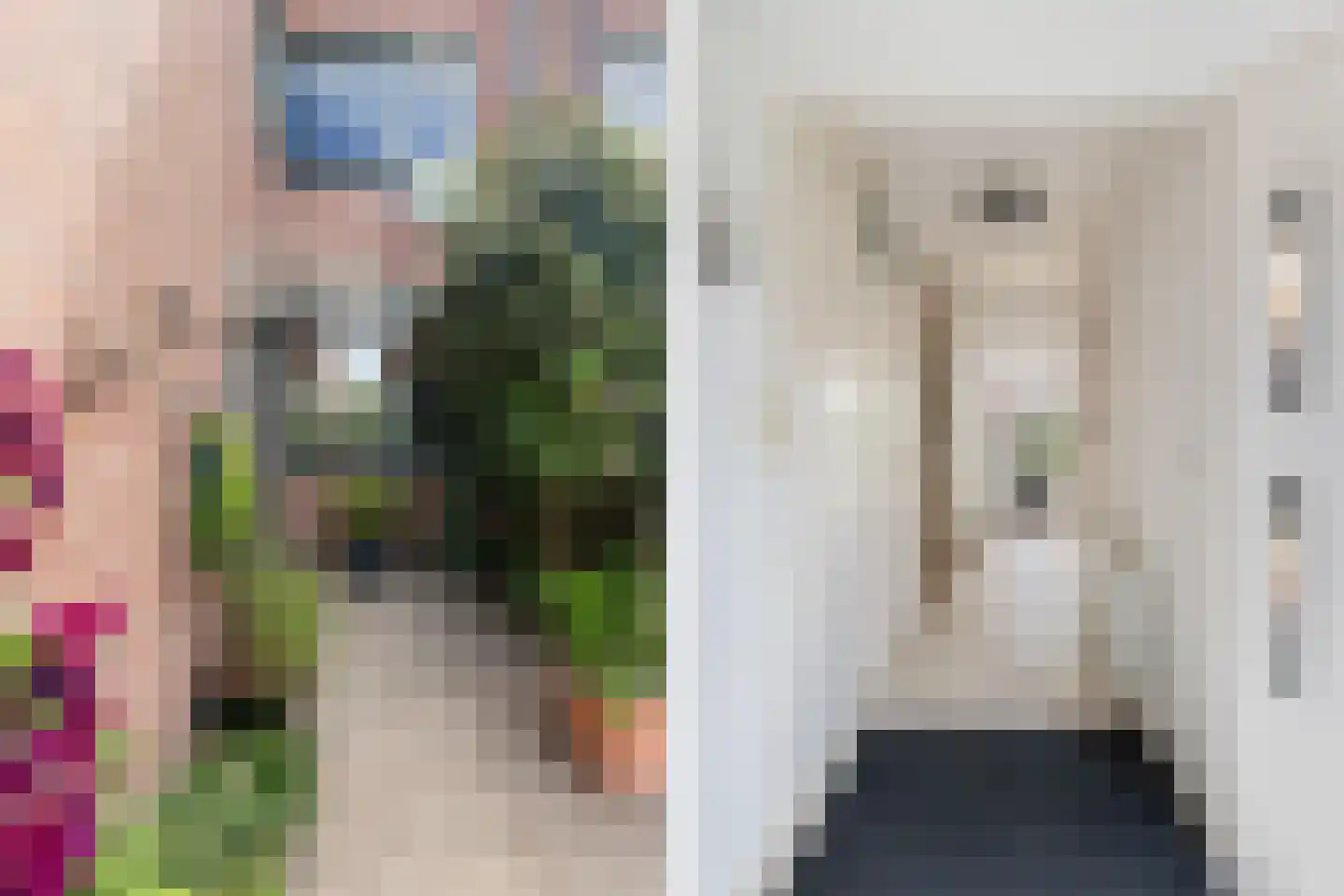 Inkarnaatklaver 45 Rotterdam thumbnail 5