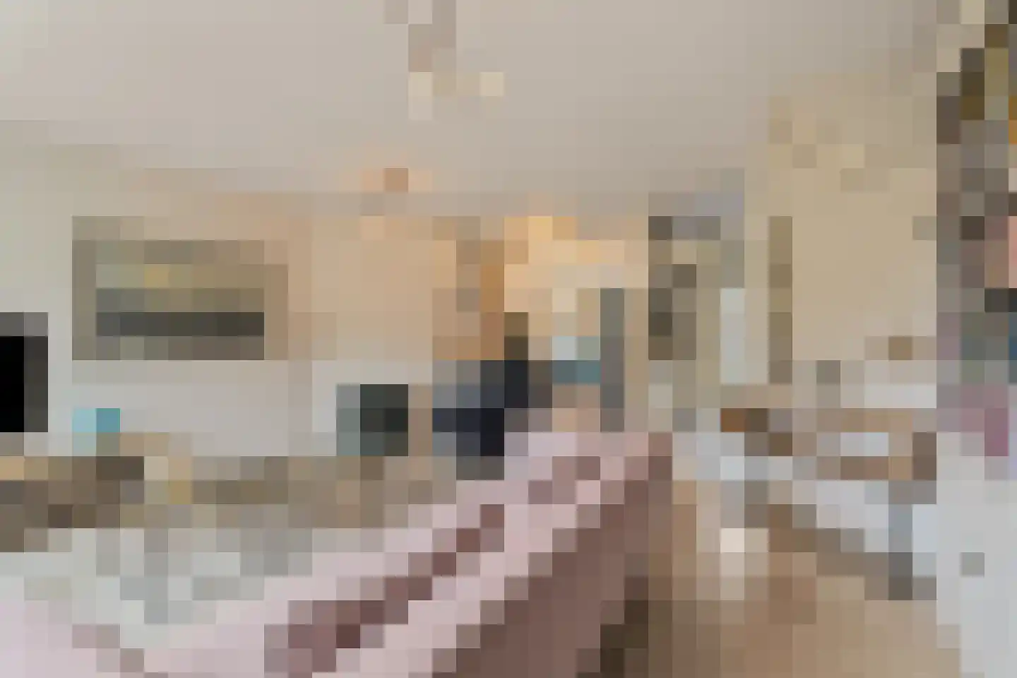 Inkarnaatklaver 5 Rotterdam thumbnail 14