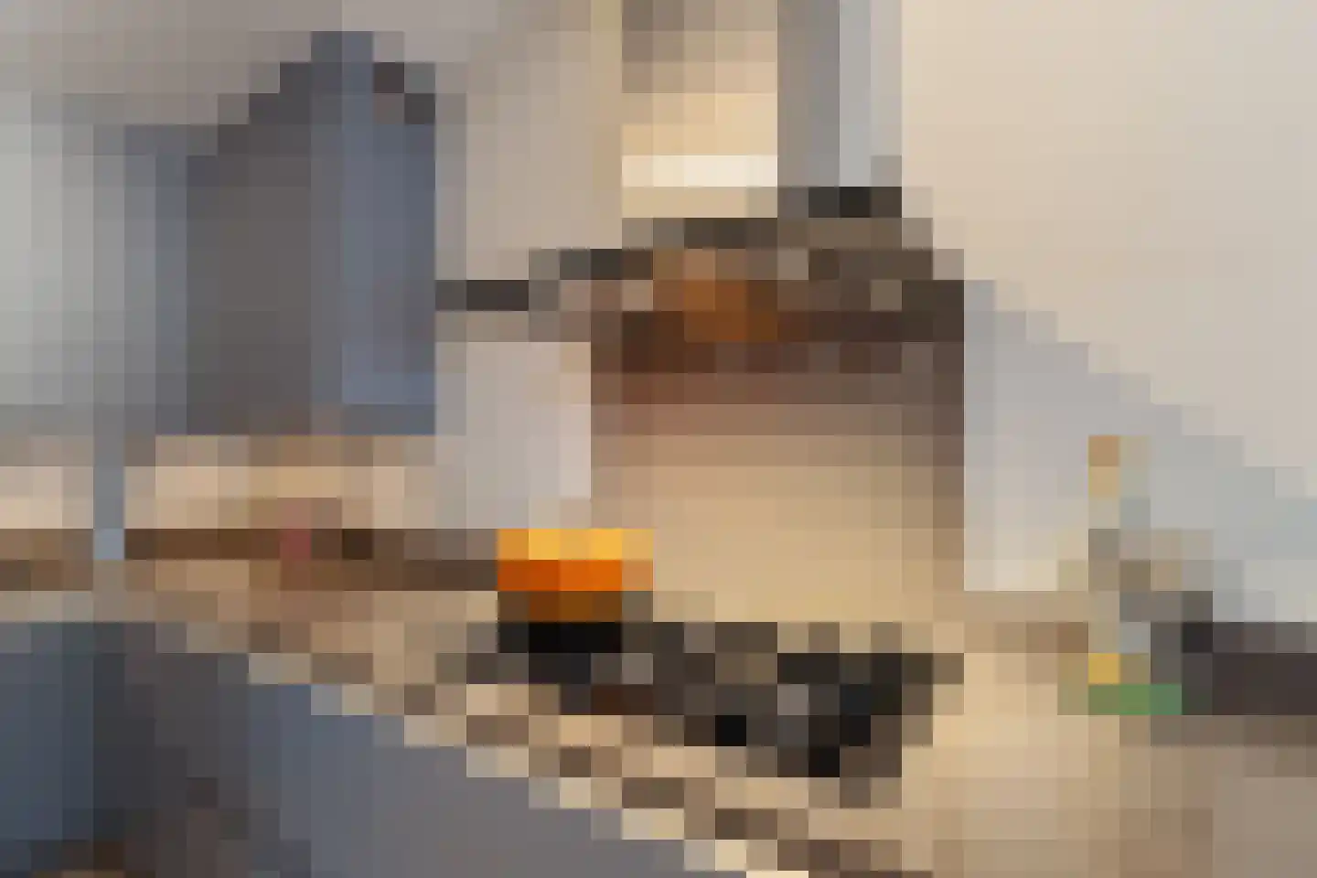 Inkarnaatklaver 5 Rotterdam thumbnail 17