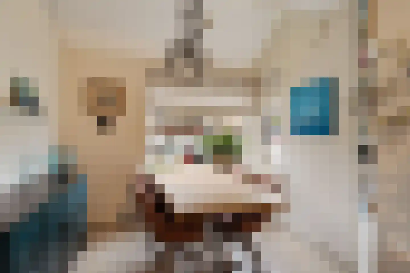 Inkarnaatklaver 5 Rotterdam thumbnail 18