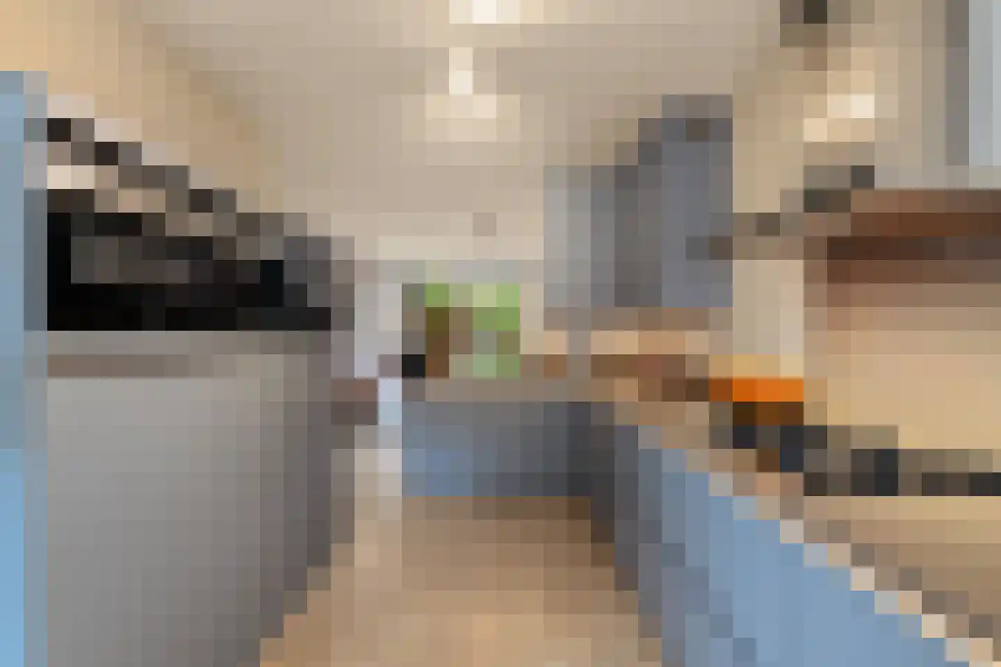 Inkarnaatklaver 5 Rotterdam thumbnail 20