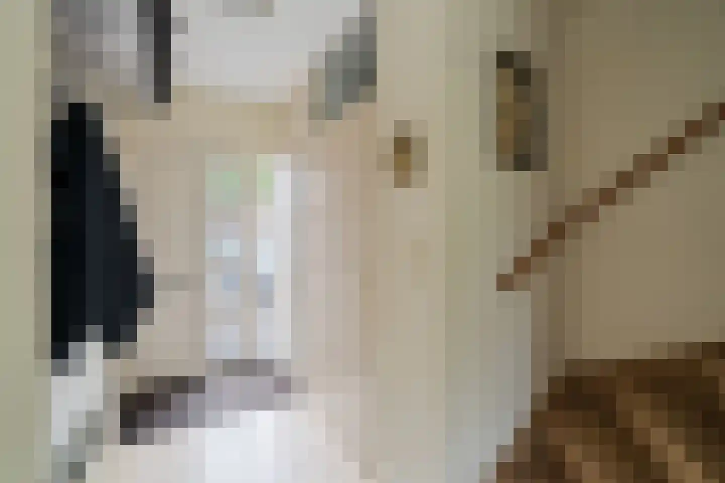Inkarnaatklaver 5 Rotterdam thumbnail 22