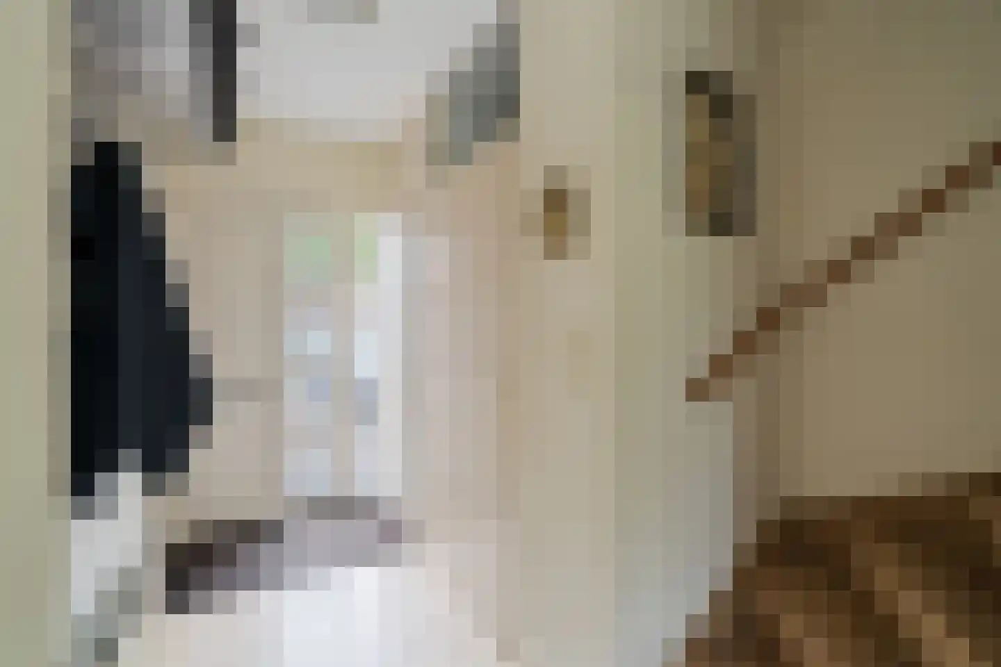 Inkarnaatklaver 5 Rotterdam thumbnail 22