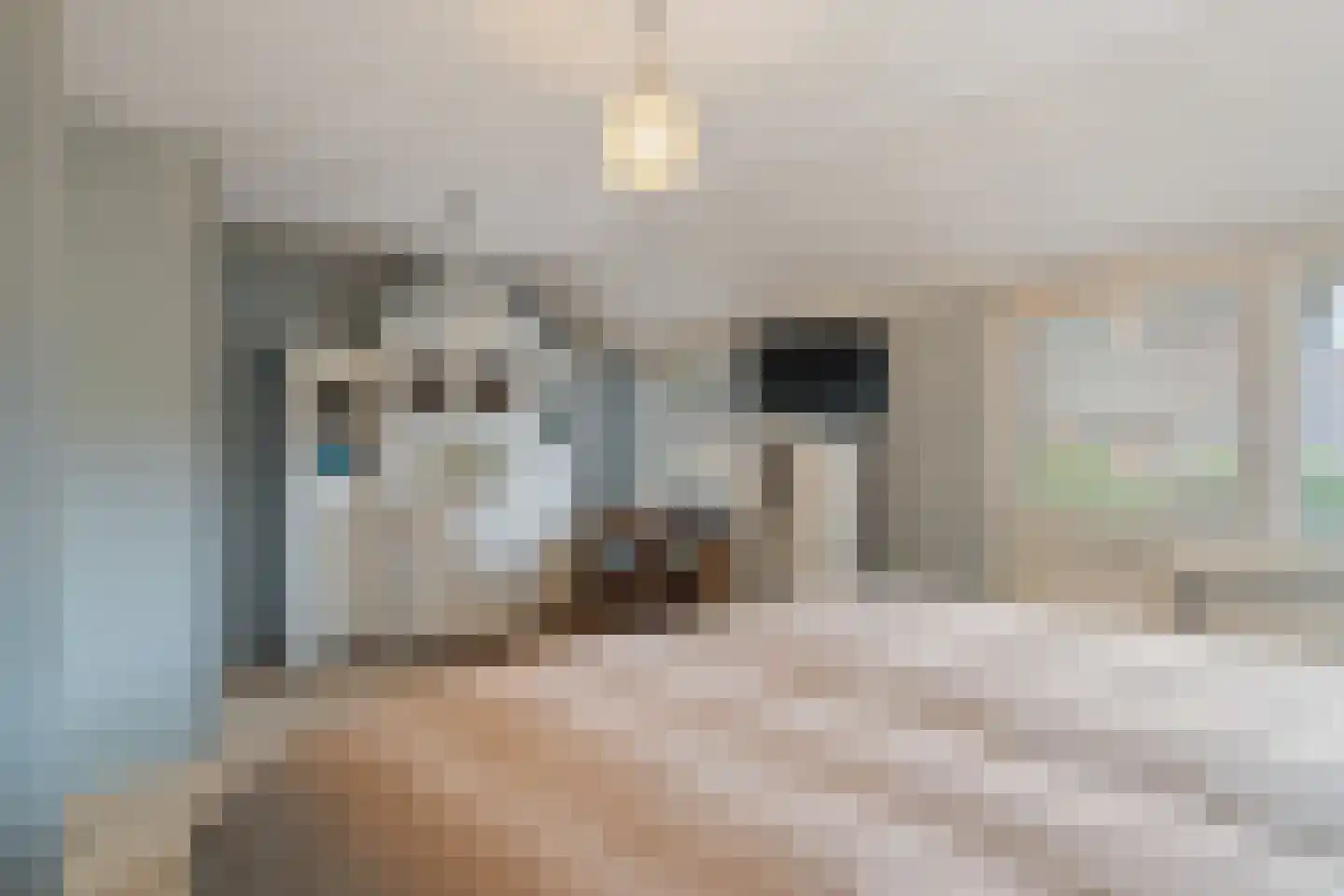 Inkarnaatklaver 5 Rotterdam thumbnail 25
