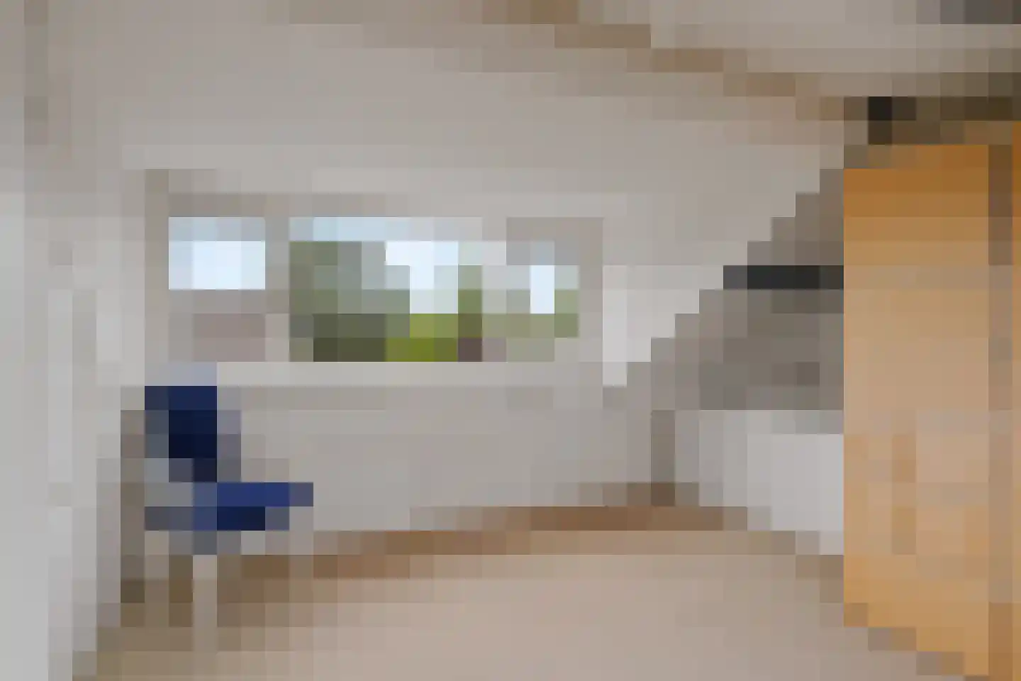 Inkarnaatklaver 5 Rotterdam thumbnail 32