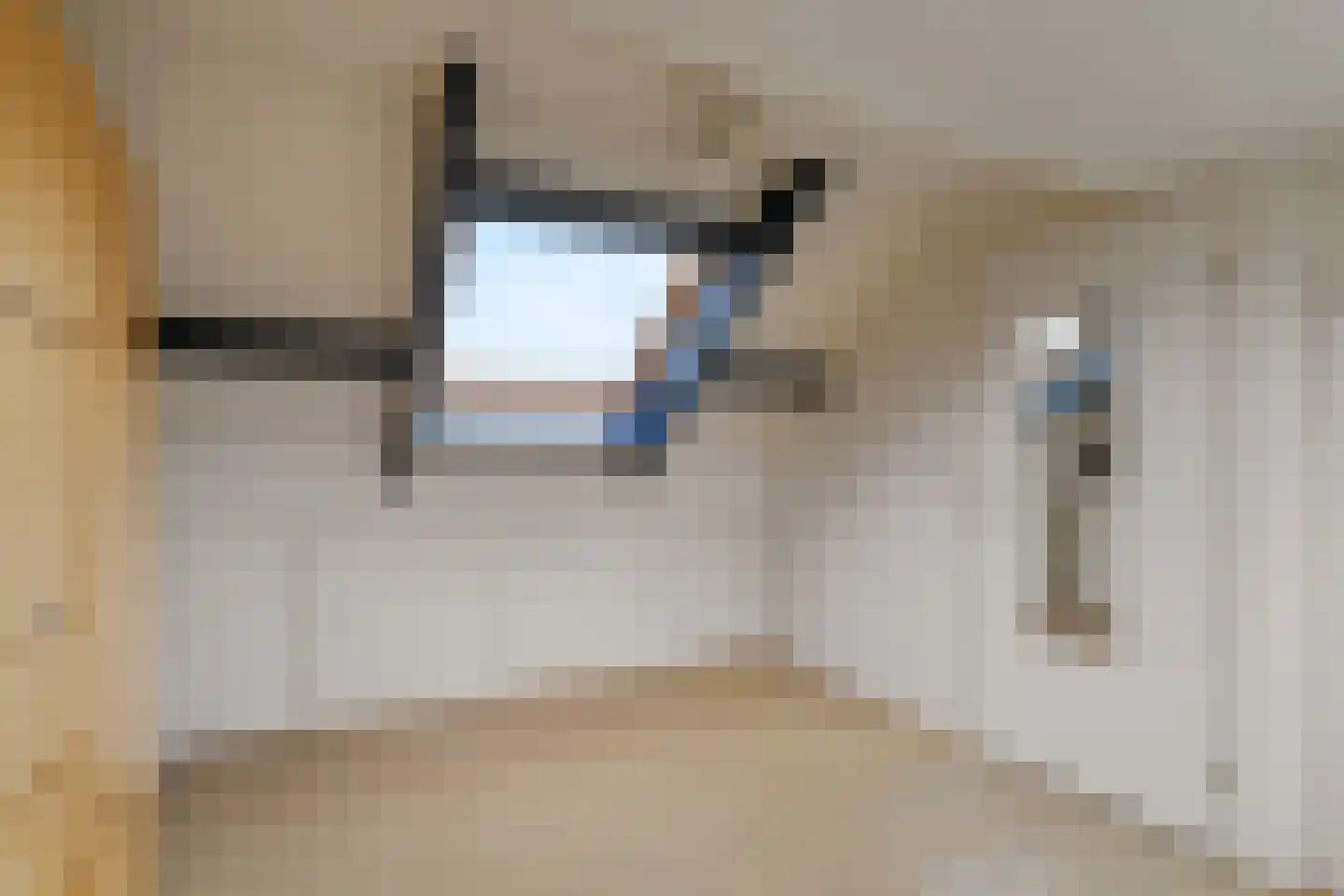 Inkarnaatklaver 5 Rotterdam thumbnail 33