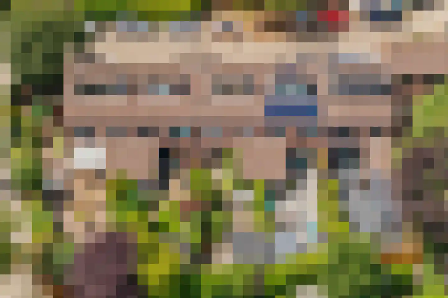 Inkarnaatklaver 5 Rotterdam thumbnail 34