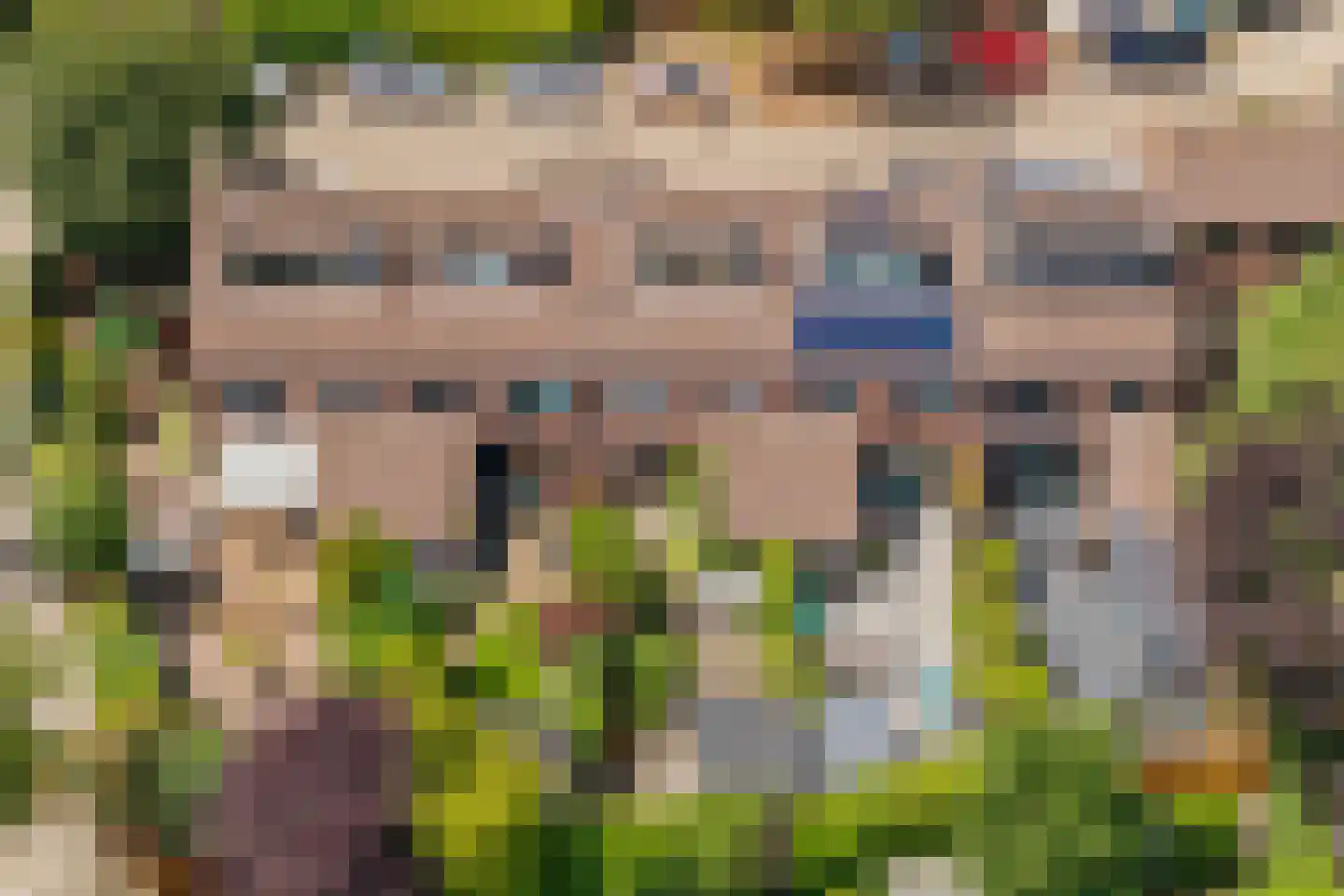 Inkarnaatklaver 5 Rotterdam thumbnail 34