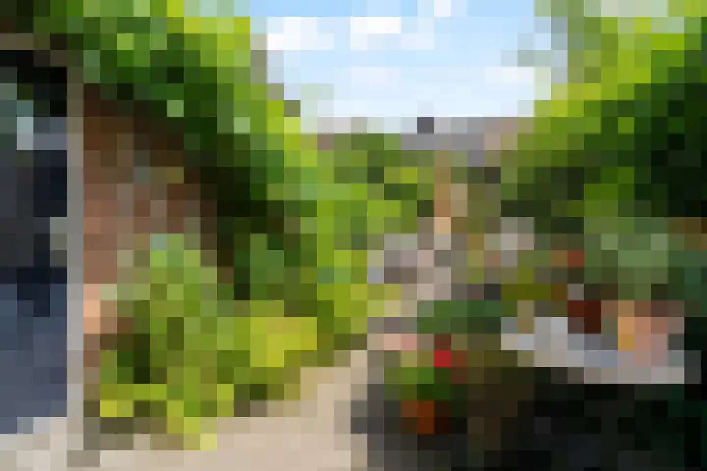 Inkarnaatklaver 5 Rotterdam thumbnail 35