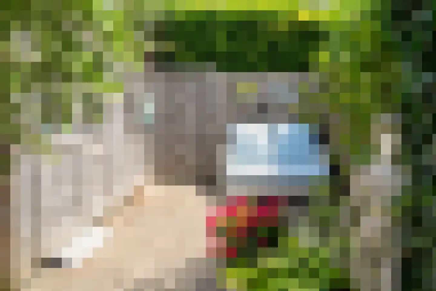 Inkarnaatklaver 5 Rotterdam thumbnail 36