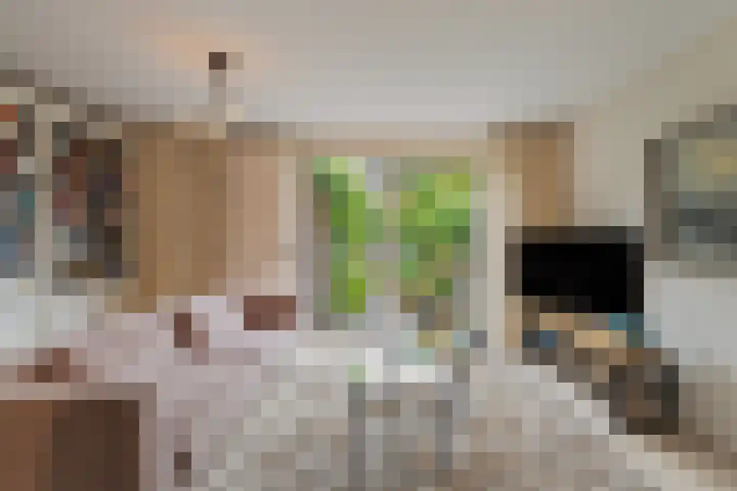 Inkarnaatklaver 5 Rotterdam thumbnail 4
