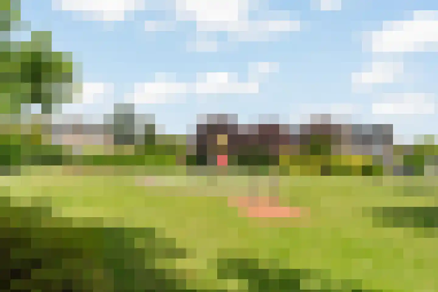 Inkarnaatklaver 5 Rotterdam thumbnail 40