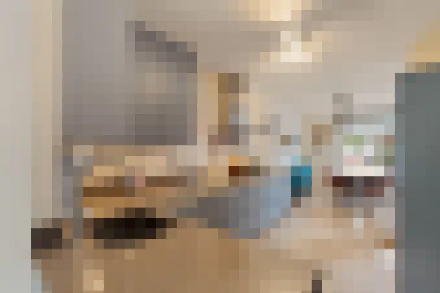 Inkarnaatklaver 5 Rotterdam thumbnail 5