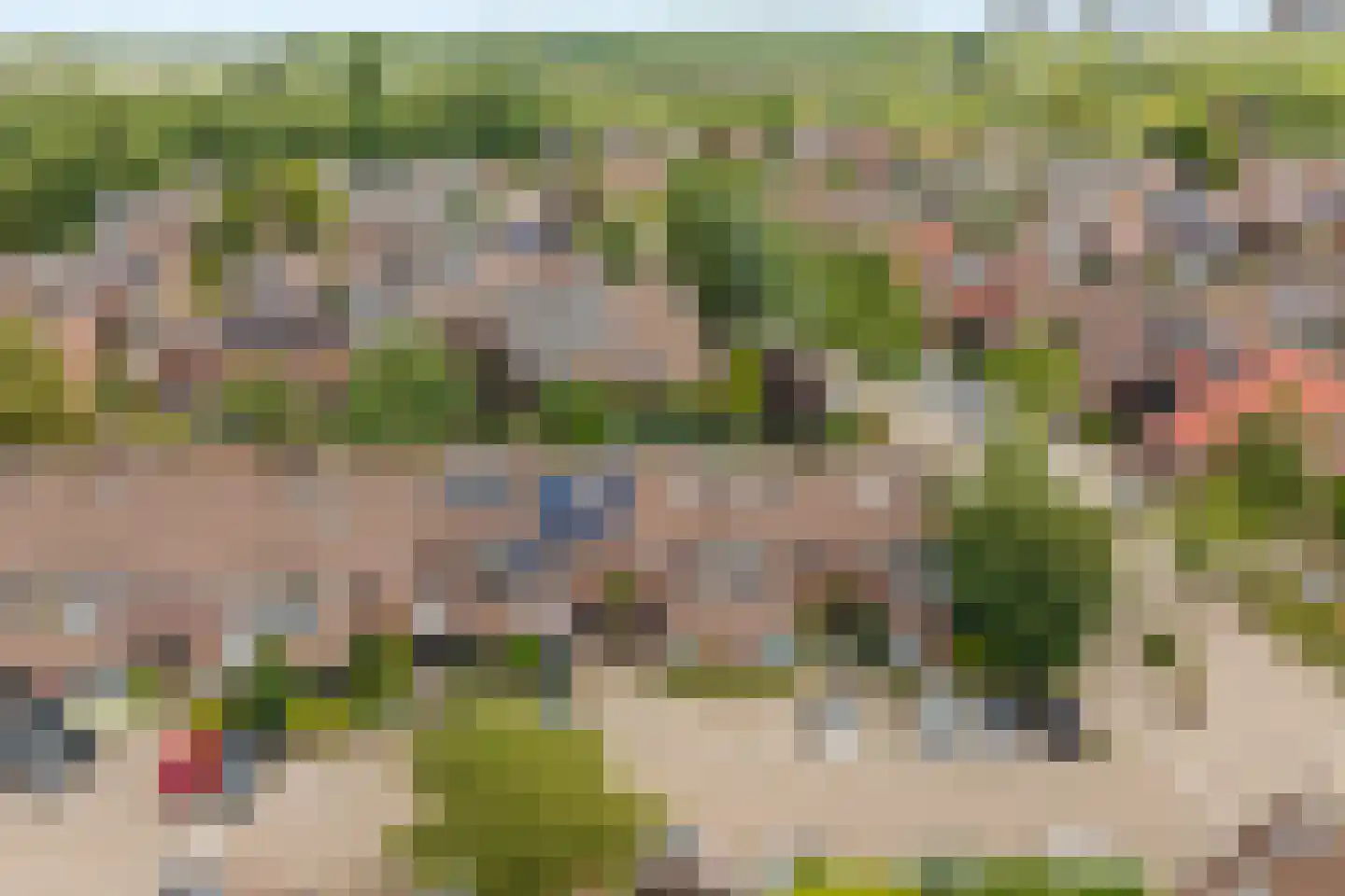 Inkarnaatklaver 5 Rotterdam thumbnail 6