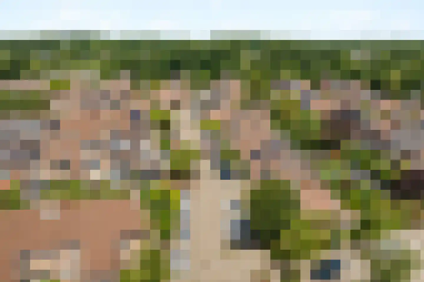 Inkarnaatklaver 5 Rotterdam thumbnail 8