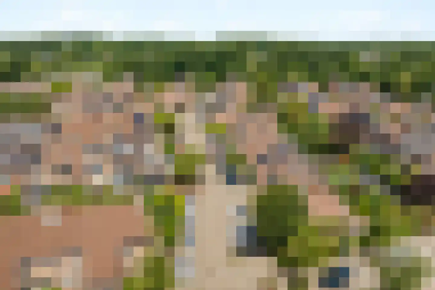 Inkarnaatklaver 5 Rotterdam thumbnail 8