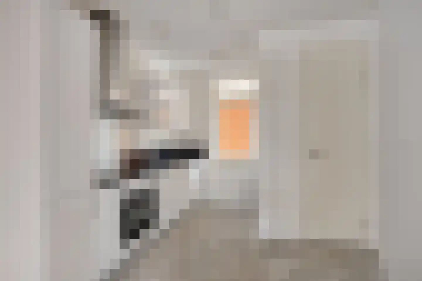 Inkoperhof 17 Rijnsburg thumbnail 4