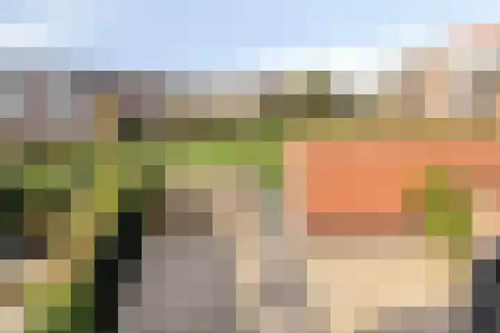 Inkoperhof 18 Rijnsburg thumbnail 29