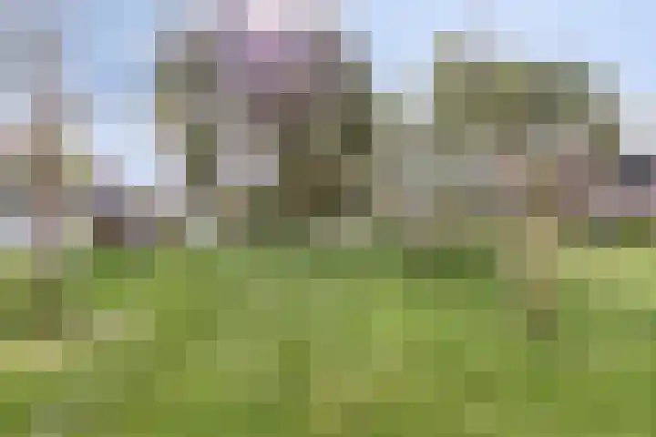 Inkoperhof 18 Rijnsburg thumbnail 36