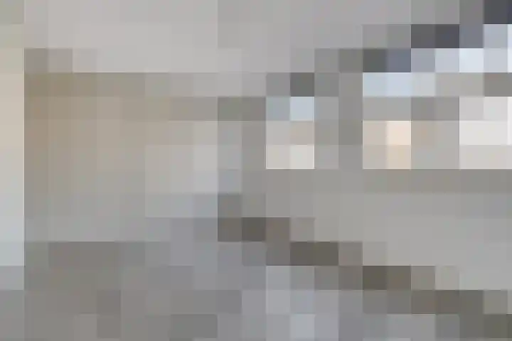 Inkoperhof 5 Rijnsburg thumbnail 13