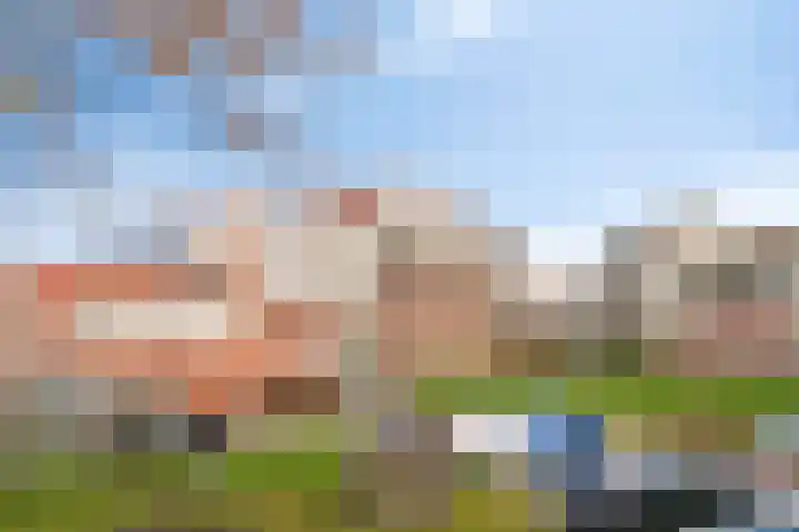 Inkoperhof 5 Rijnsburg thumbnail 27