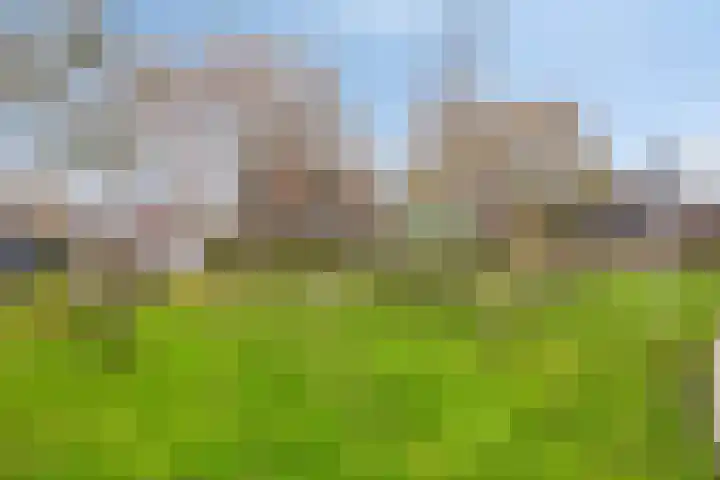 Inkoperhof 5 Rijnsburg thumbnail 28