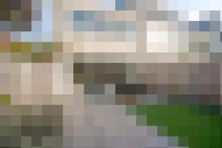 Inktbes 7 Amersfoort thumbnail 29