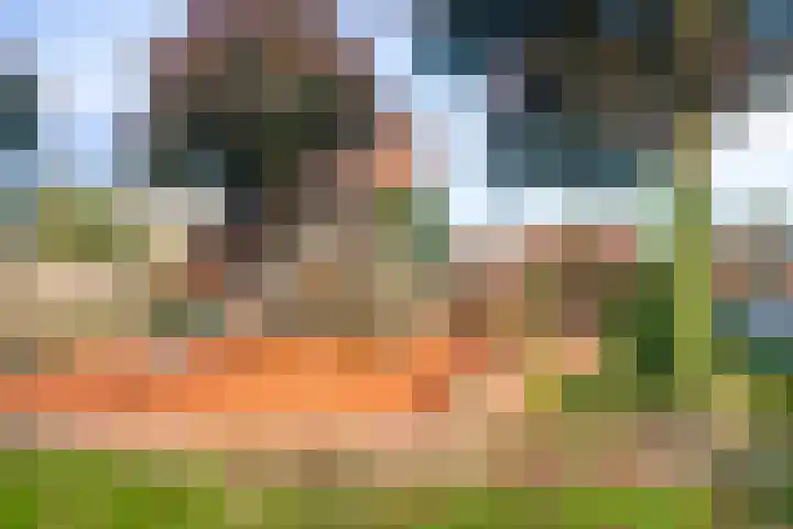 Inktbes 7 Amersfoort thumbnail 30