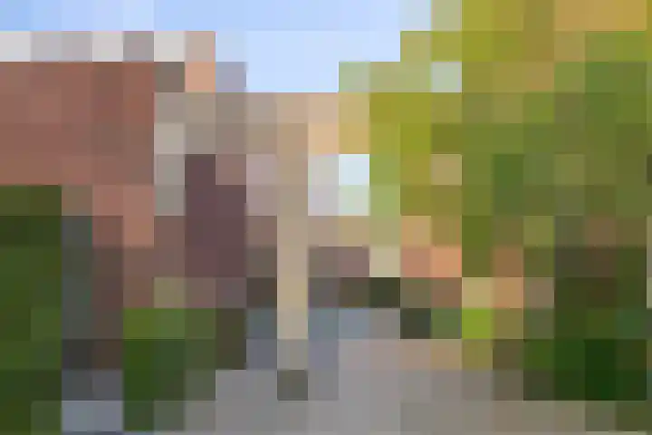 Inktbes 7 Amersfoort thumbnail 31