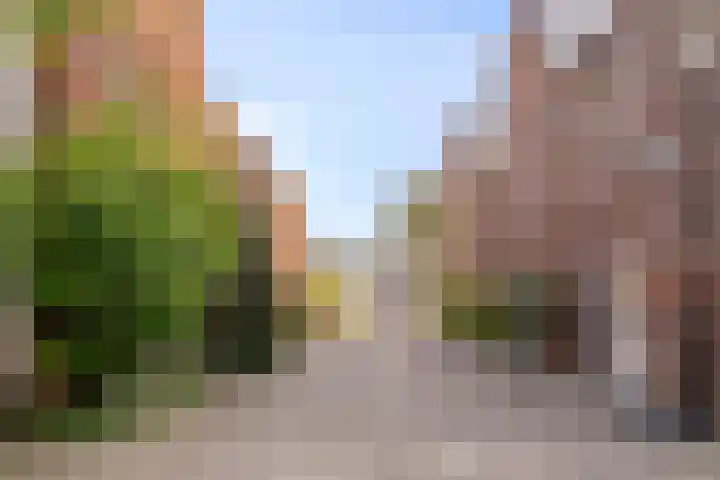 Inktbes 7 Amersfoort thumbnail 32