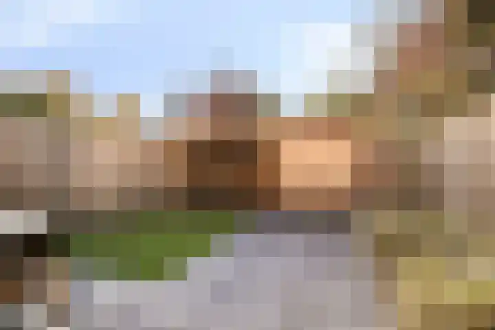 Inktbes 7 Amersfoort thumbnail 4