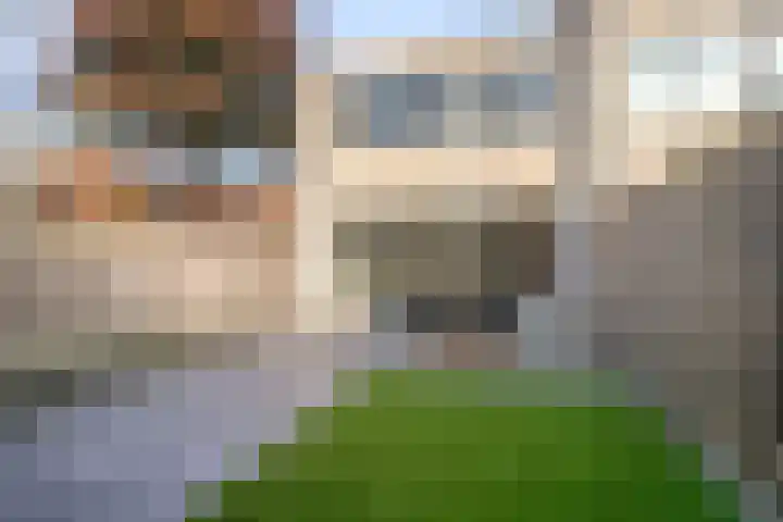 Inktbes 7 Amersfoort thumbnail 5
