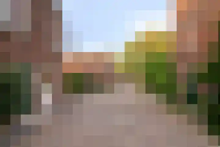 Inktbes 7 Amersfoort thumbnail 9