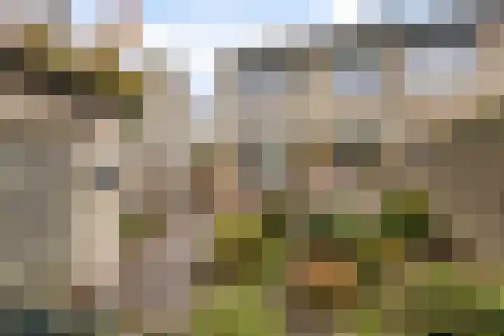 Inktvisstraat 14 Helmond thumbnail 34