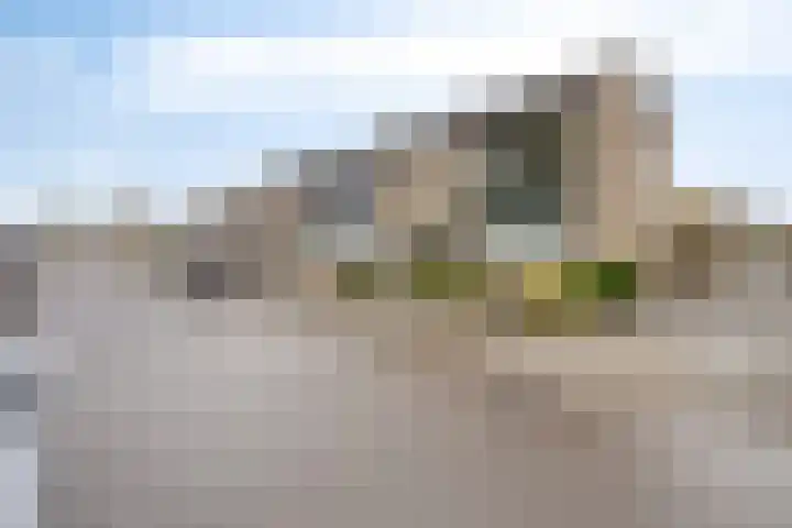Inktvisstraat 14 Helmond thumbnail 9