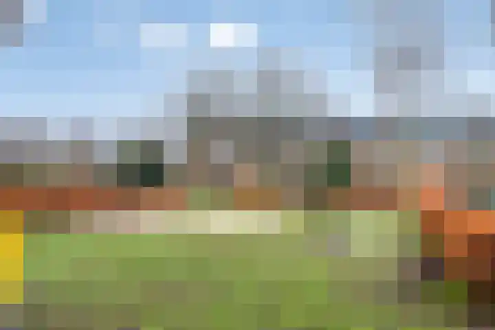 Inktvisstraat 20 Helmond thumbnail 30