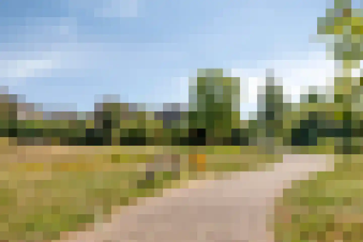Inktvisstraat 4 Helmond thumbnail 28