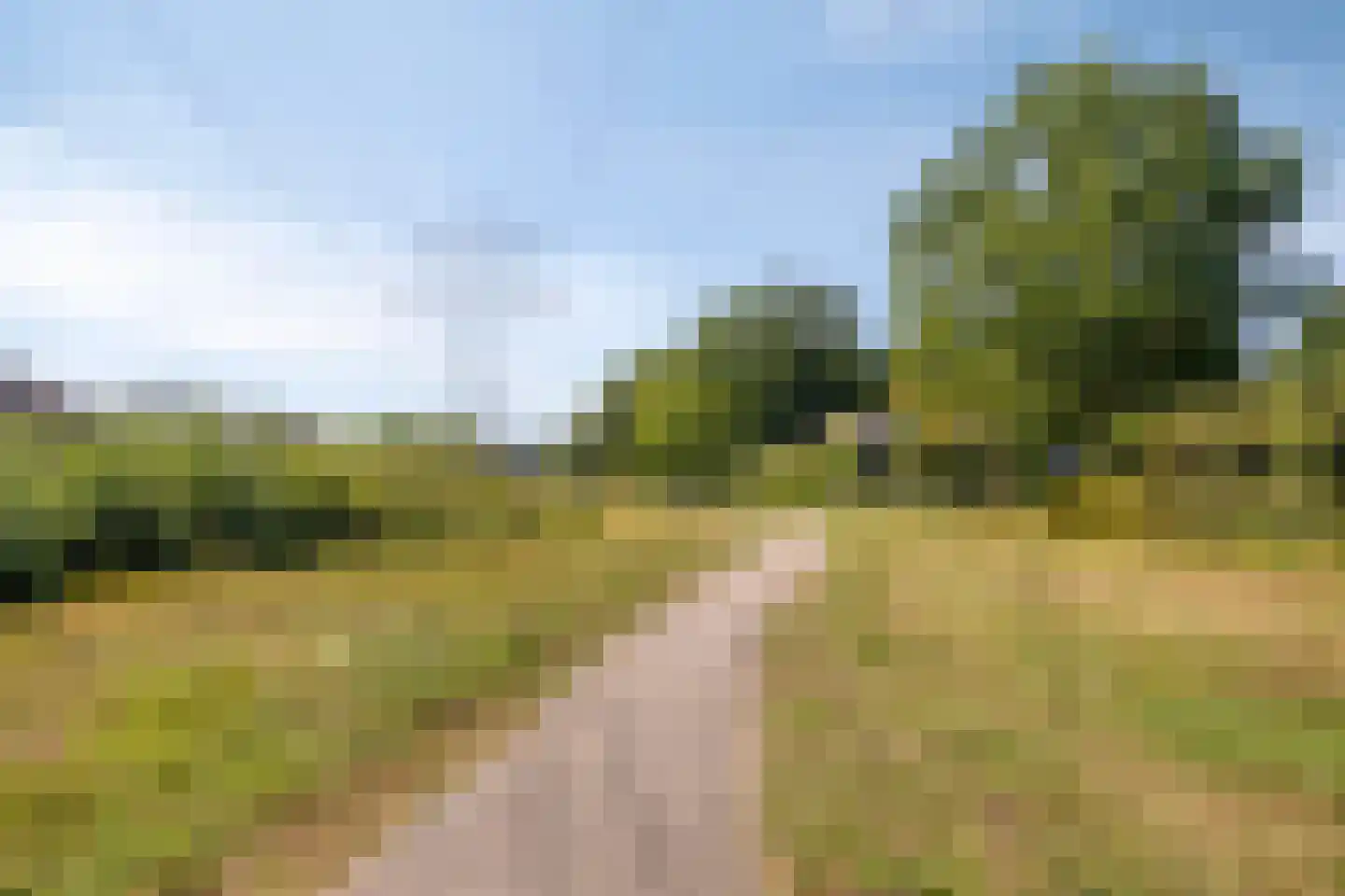 Inktvisstraat 4 Helmond thumbnail 29