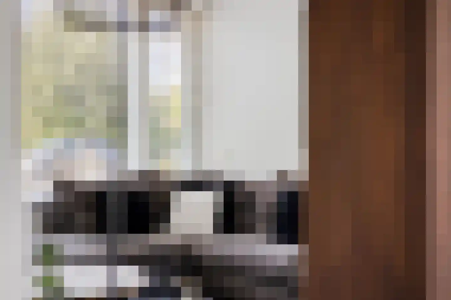 Inktvisstraat 4 Helmond thumbnail 7